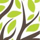 Herbal Medicine and clinic - Dundalk Herbal (Clodagh McElroy) on Town Talk 17/01/13  logo