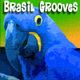 Balanço Brasileiro (Brasil Grooves #8) logo