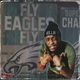 Fly Eagles Fly Fight Song Uzi Remix logo