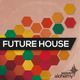 Future House Mixtape #1 logo