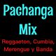 Pachanga Mix Vol. 1 | Bad Bunny Mix Tucanes de Tijuana Becky G Angeles Azules Mix Selena Banda Party logo