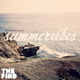TFM & Beat Culture - Summer Vibes logo