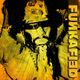 FUNKAFIED | Funk Reflections logo