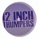 12 inch thumpers mix hard house logo