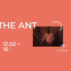 Studio C-mine // The Ant - Belgian Music Only logo