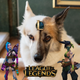 League of Legends / Arcane Nine-Tailed Fox Mix logo