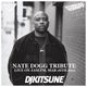 DJ Kitsune - Nate Dogg Tribute Mix (Live on Jam FM, 16th Mar 2011) logo