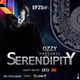 Serendipity EP 025 guest mix by SEO logo