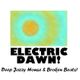 ELECTRIC DAWN! Deep Jazzy House and Broken Beat Flavours! logo