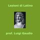 MP3, Pronomi e aggettivi interrogativi. Interrogative dirette 2C - lezione scolastica di Luigi Gaudi logo