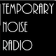 Temporary Noise Radios Unsigned & Independent Artist Show Hosted by ADEYP 25/11/2013 logo