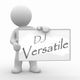 DJ Versatile-Beat Thief Exclusive Mix 2010 logo