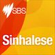SBS Sinhalese weekly Sri Lankan news wrap - aftermath of the Jaffna Uni clash logo