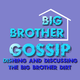 Celebrity Big Brother Gossip #104: Finale Talk & Shannon Elizabeth Interview logo