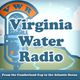 Episode 543 (9-21-20): Avocets, Stilts, and a Historic Virginia Bird Haven logo