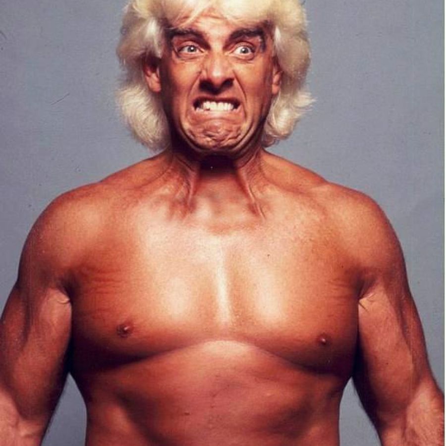 Pz19jb карбюратор. Рик флэр молодой. Untz untz 18. Untz untz 18. Туморовленд 2023.