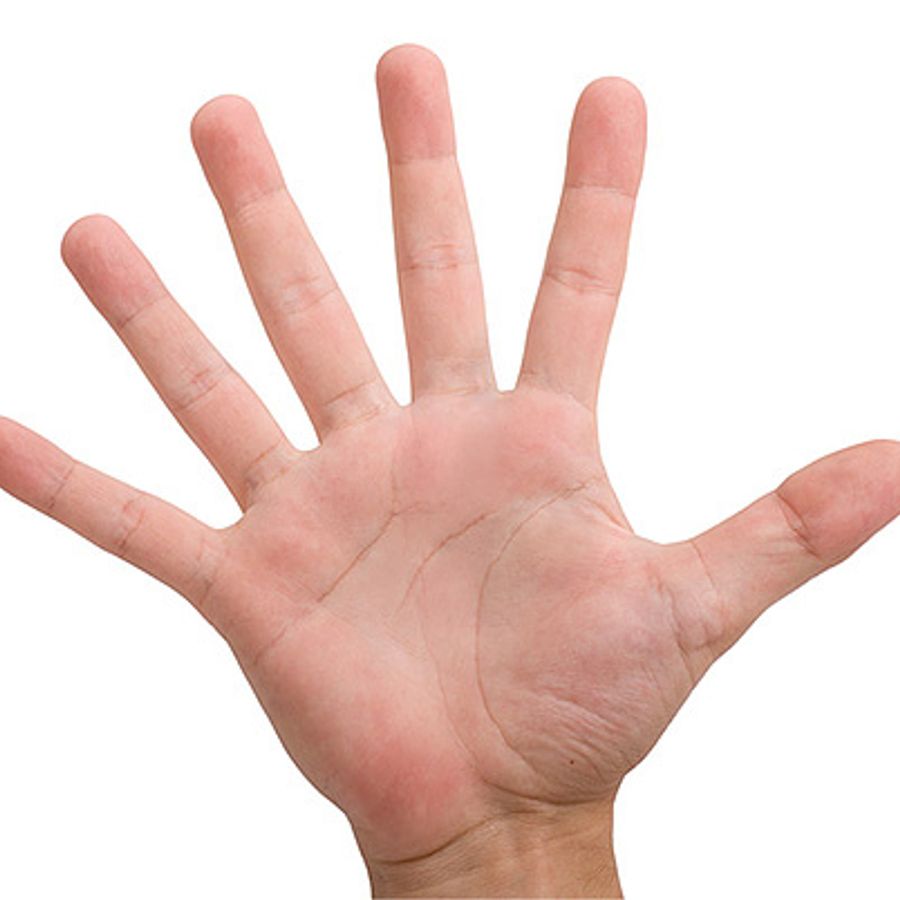 Two hands reaching. Hand bone structure. дружеское приветствие руками. сочувствие и поддержка. Each hand.