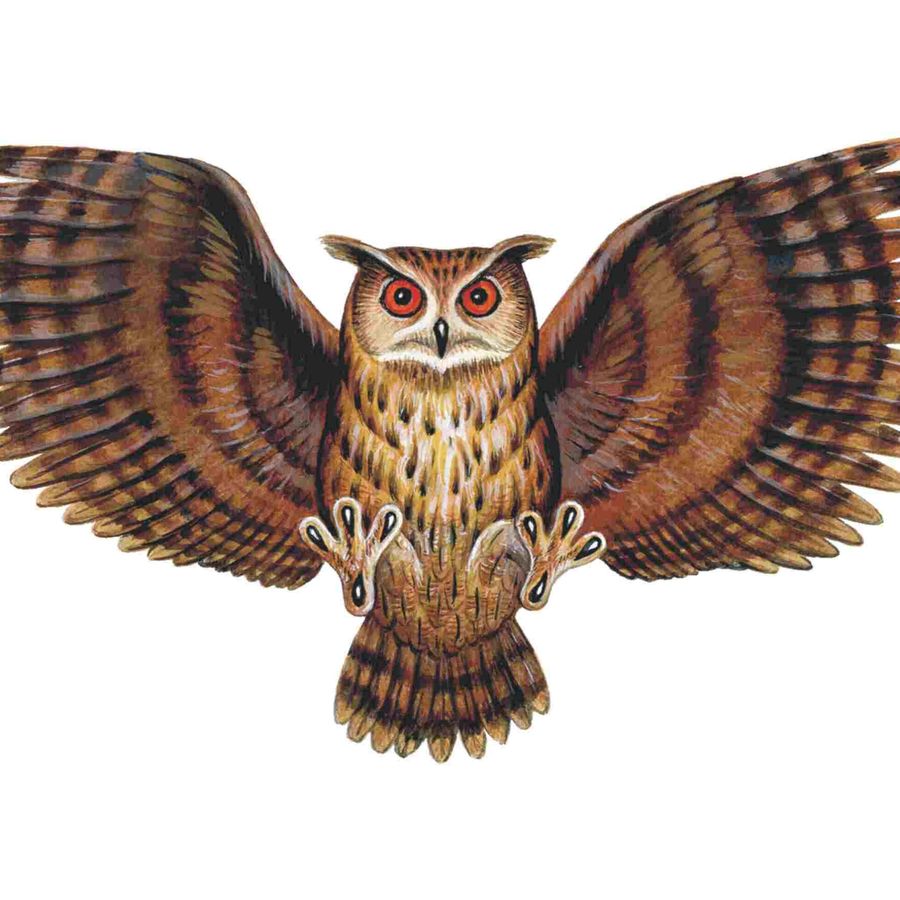 Символ Сова с распростертыми крыльями