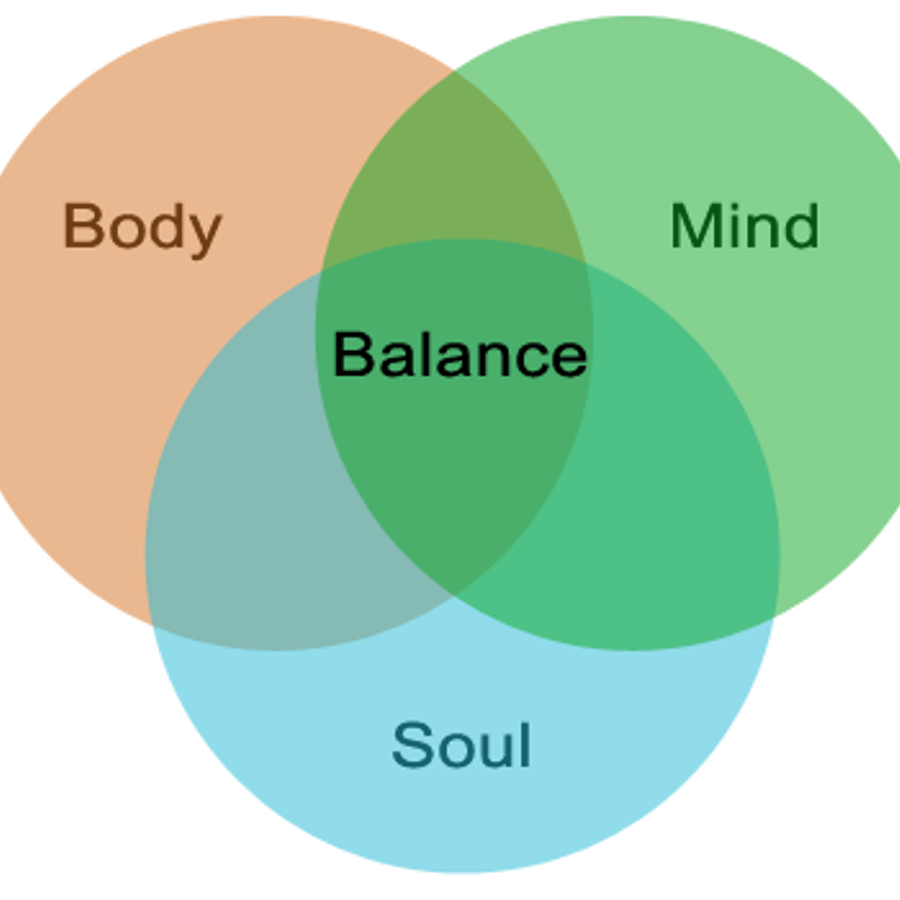 Mind body Soul. Минд боди. Balance body Soul йога. Body Mind Soul марка.