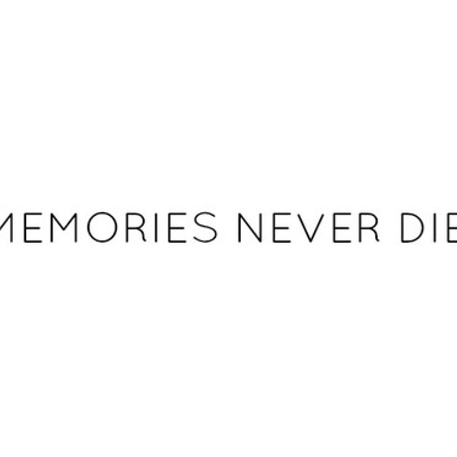 Memories Never Die_p2_pat 