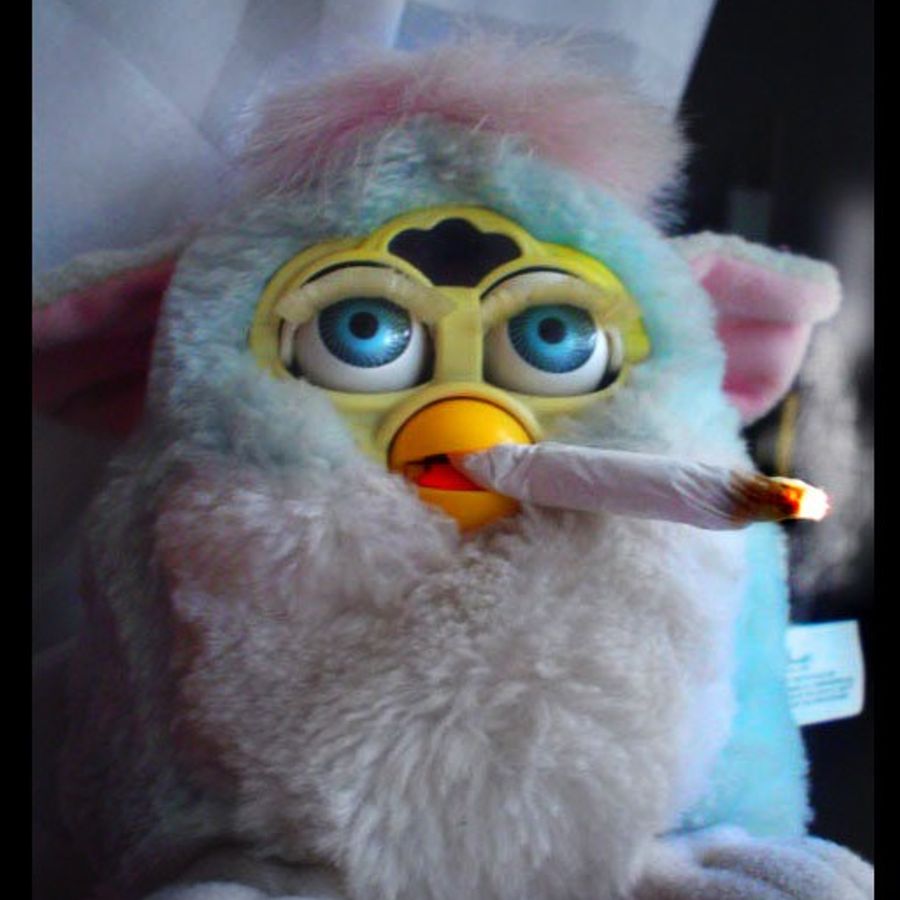 Funny furby pictures