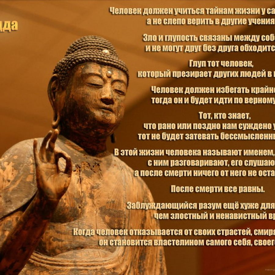 Мудрые слова Будды