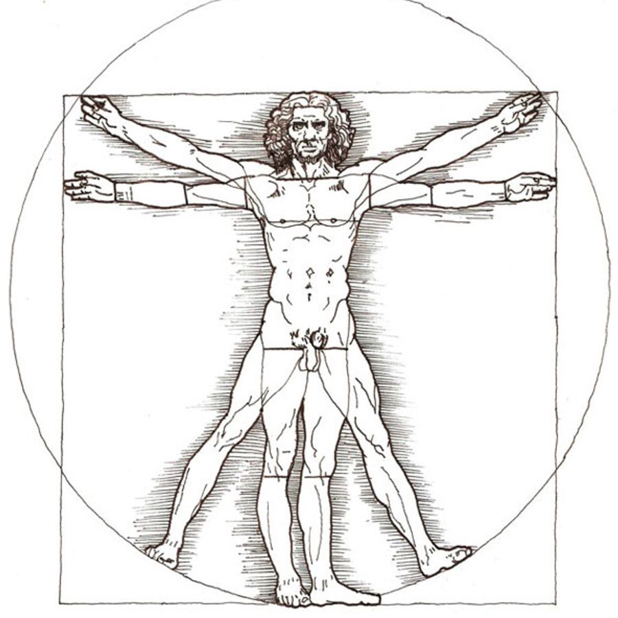 Мужчина леонардо да винчи. Да Винчи человек Витрувианский. Vitruvian man Леонардо да Винчи. Симметрия человека Леонардо да Винчи. Рисунок Леонардо да Винчи Витрувианский человек.