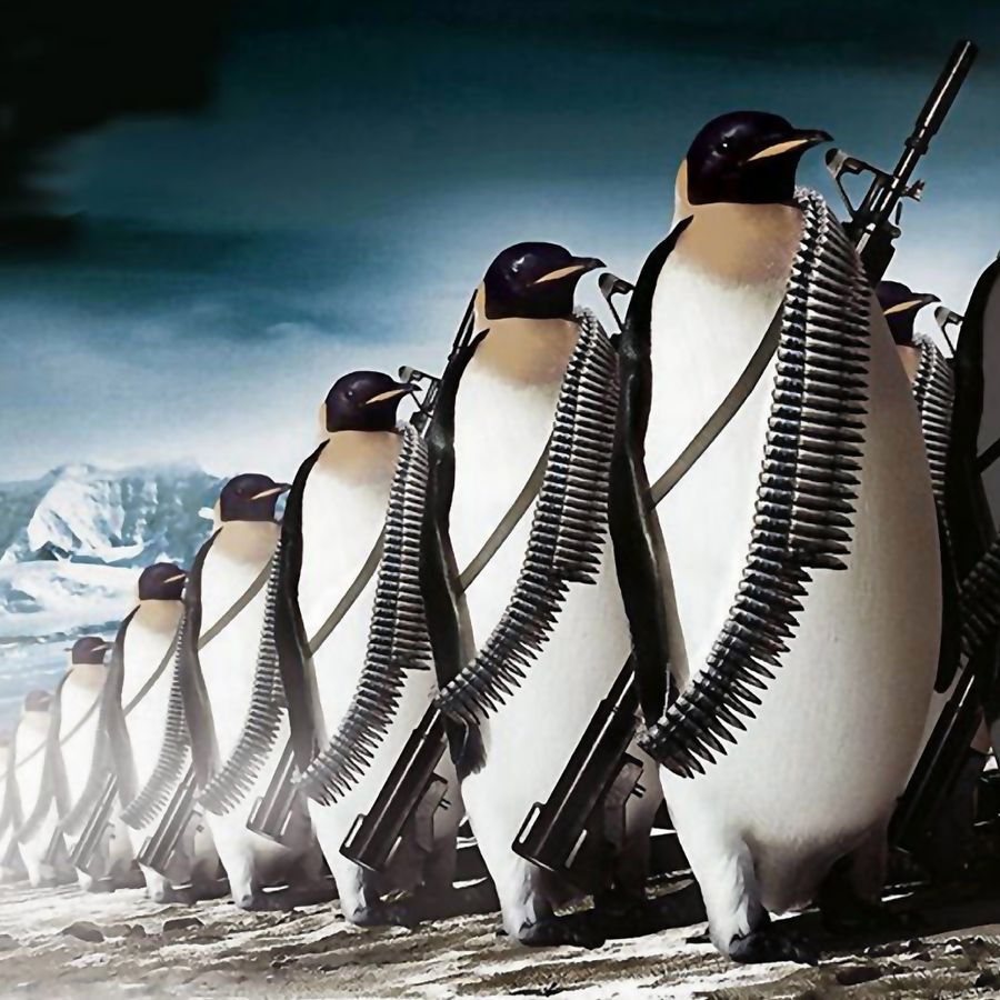 Вооруженные пингвины
