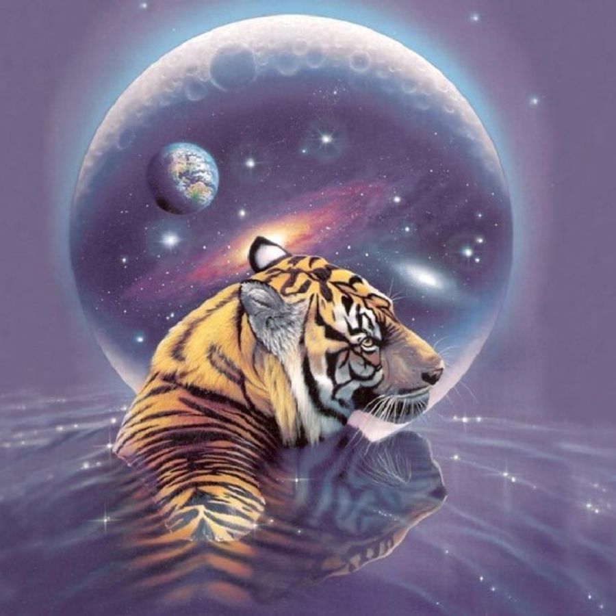 Фотография тигр Водолей