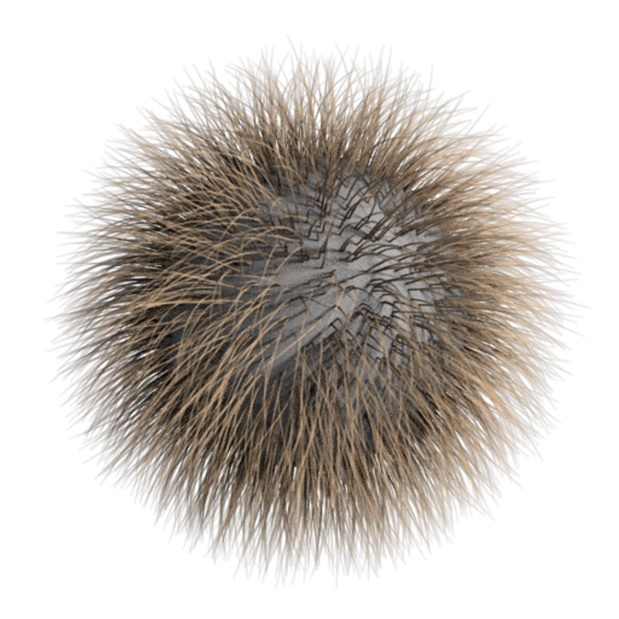 Шерсть животного. Каракуль каракульча шкура. Звук мех. Звук мех. Меховой помпон на прозрачном фоне.