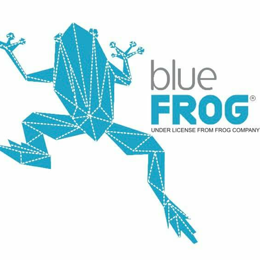 Frog фестиваль рекламы