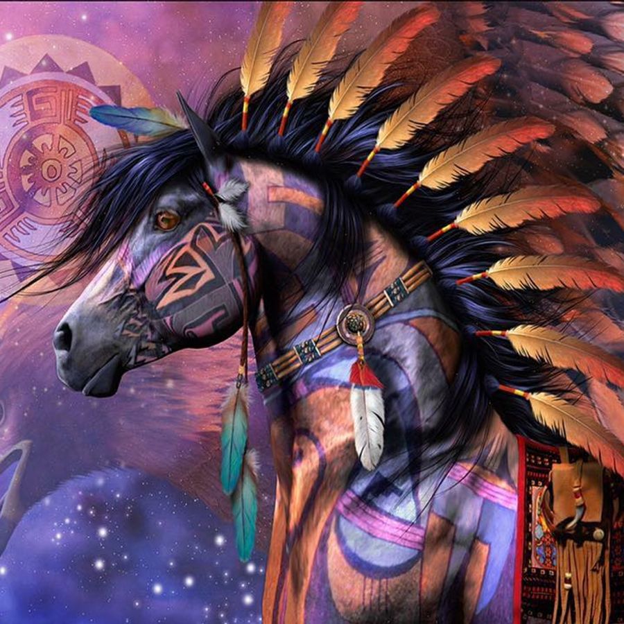 Индейская лошадь