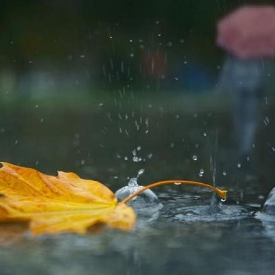 картинки просто осень просто дождь