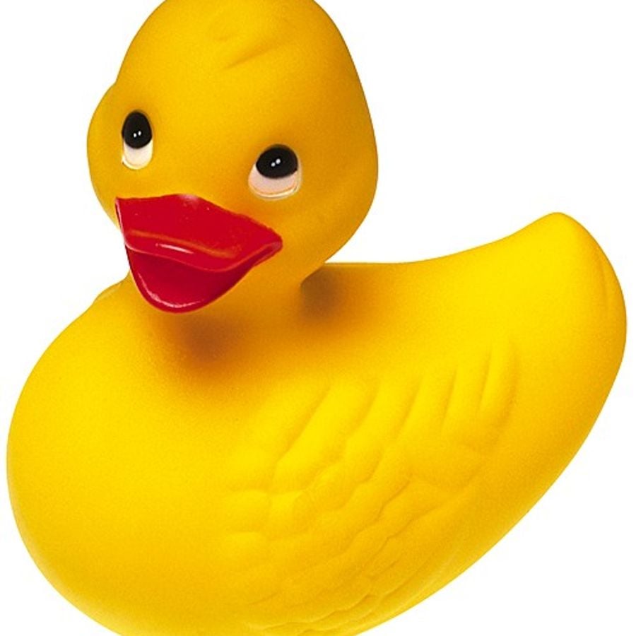 Rubber ducky gif