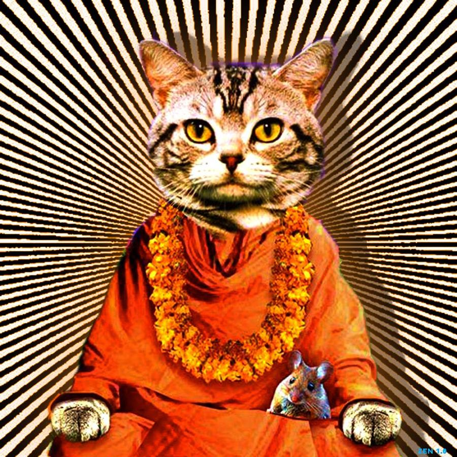 Кот буддист