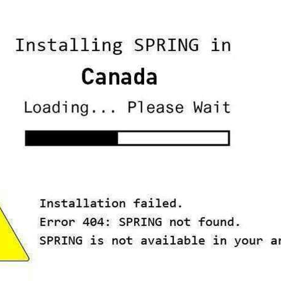 Spring 404. Spring 404