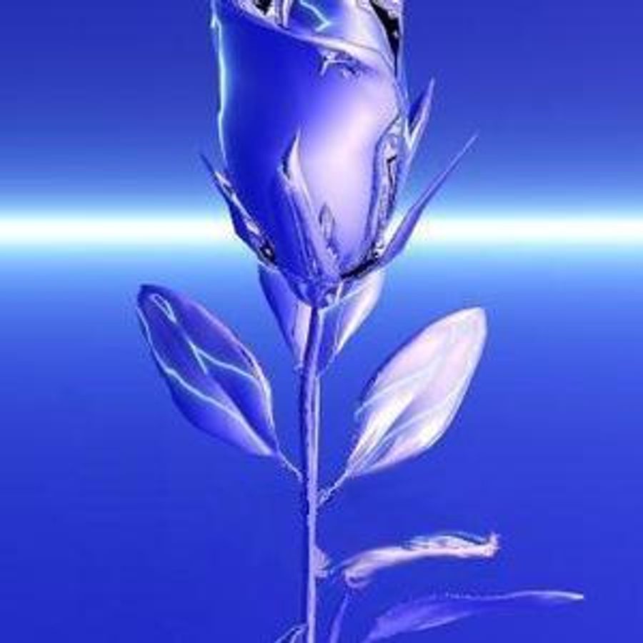 Голубая Ледяная роза