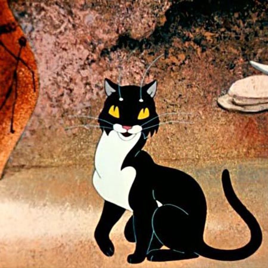 Кошка которая гуляет сама по себе картинки