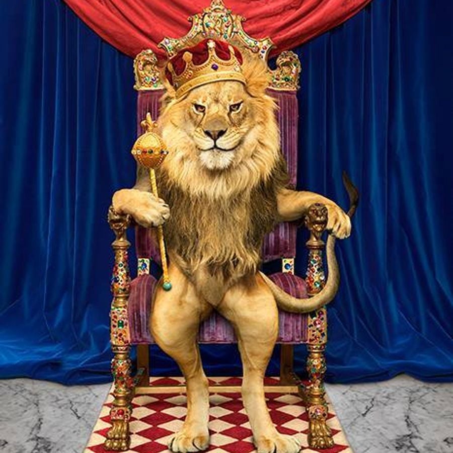 Король Лев на троне