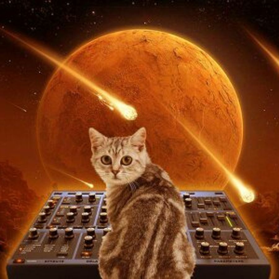 Dj doctor