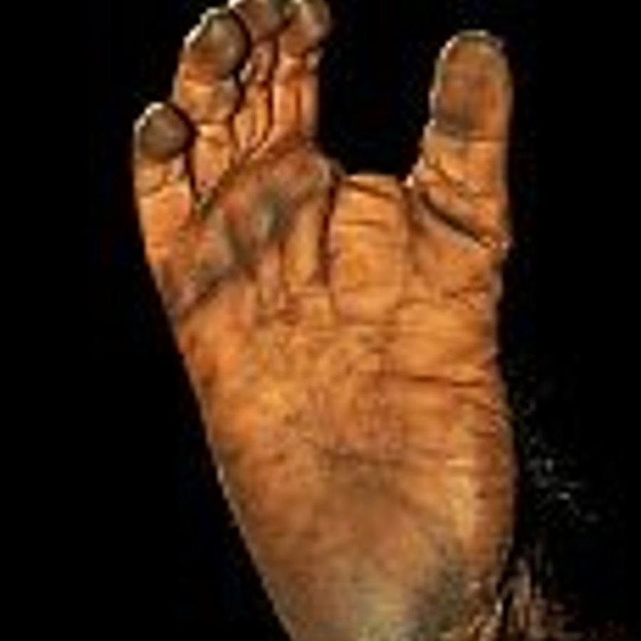 Monkey Feet By Alex Guevara Mixcloud