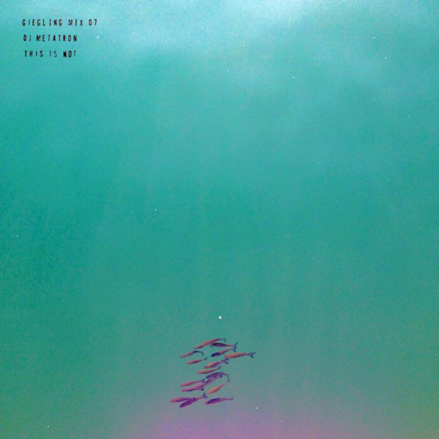 Efdemin Parallaxis Traumprinz Over 2 The End Remix