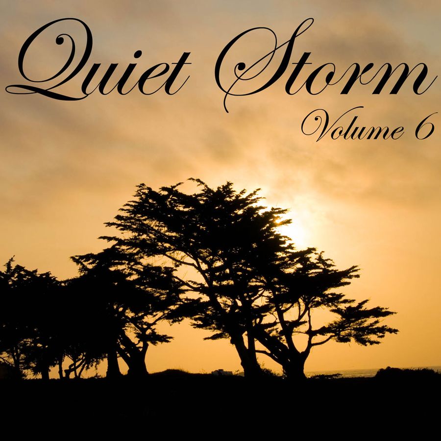 quiet storm book review