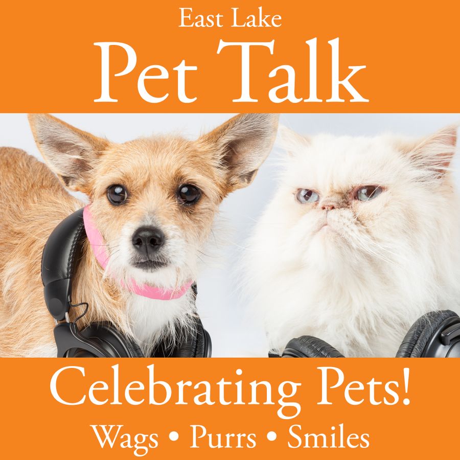 Give a talk about pets