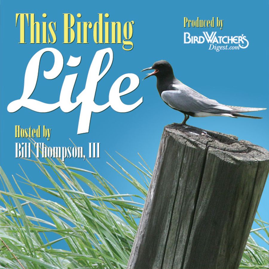 BIRDLIFE International издания. Bird Watcher. «Bird Lives». Bird Life 4.